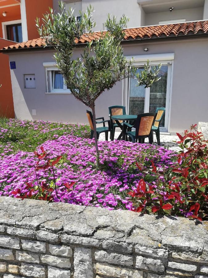 Apartment Lavanda Premantura Exterior foto